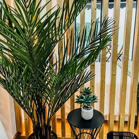 Centrico Con Terraza Apartment *